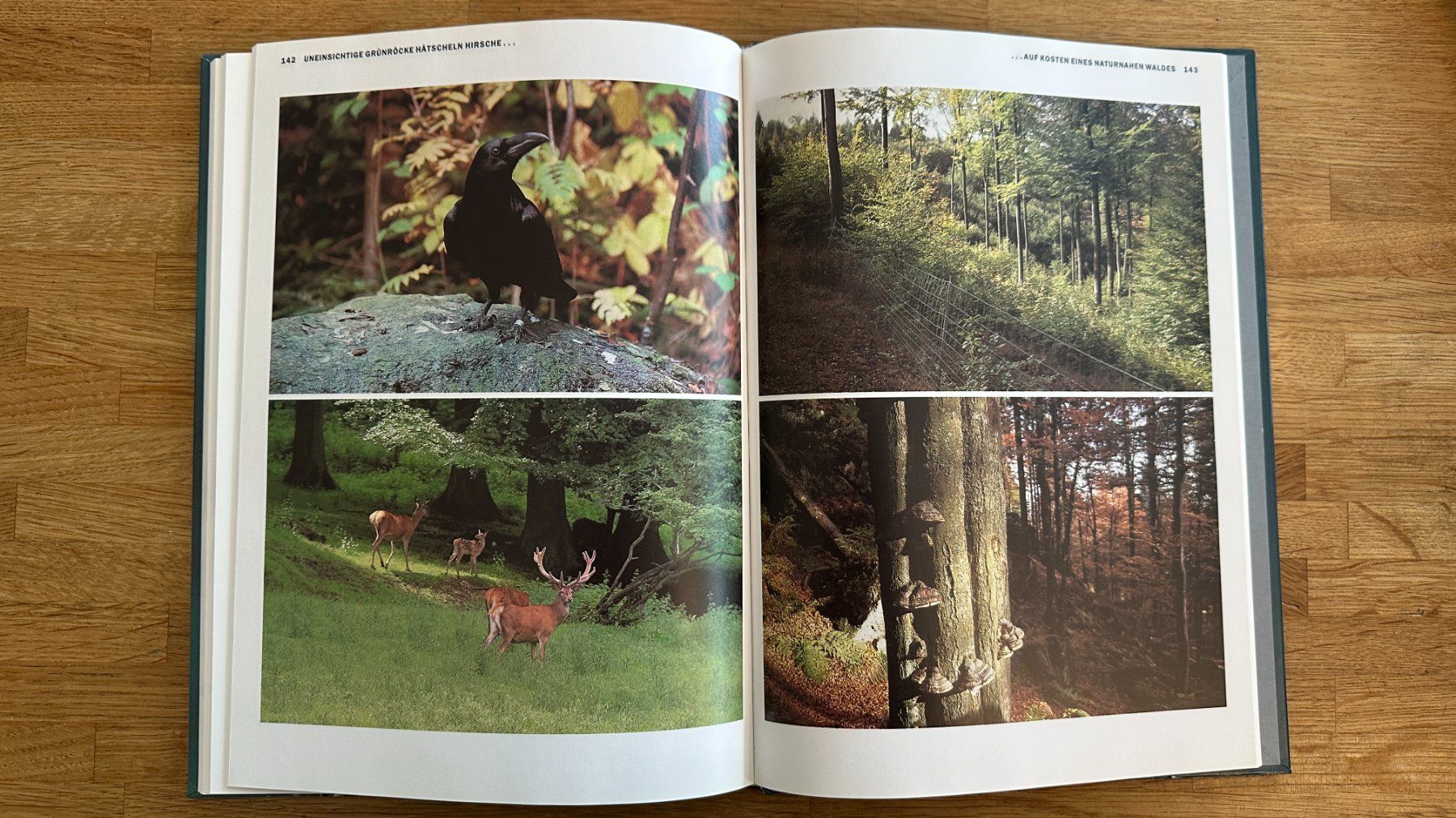Libri: Buch - Deutschlands Nationalparks – Usato da Winterthur venduto da Secondhand-Family 2