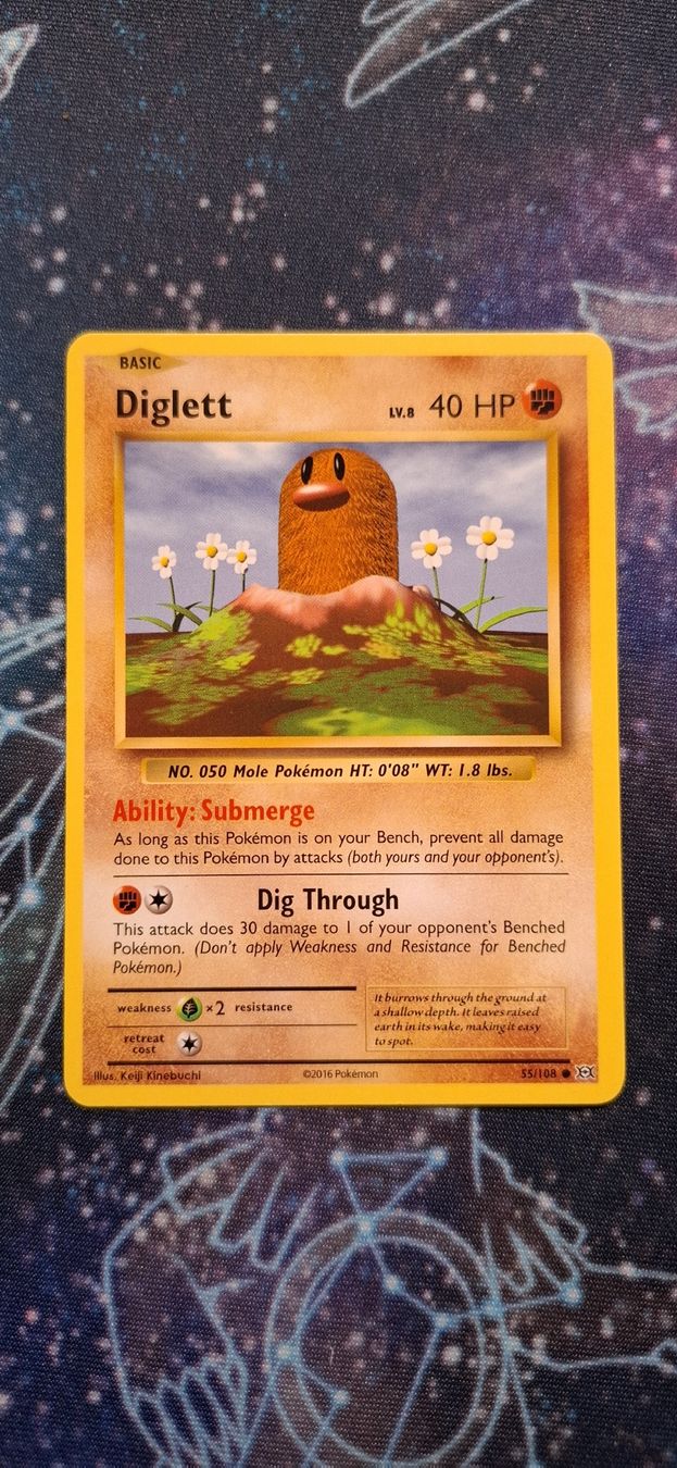 Pokémon Cartes à collectionner: Diglett 55/108 - Pokemon Evolutions ENG – Neuf (Voir description) à Petit-Lancy par Kara_TCG 1