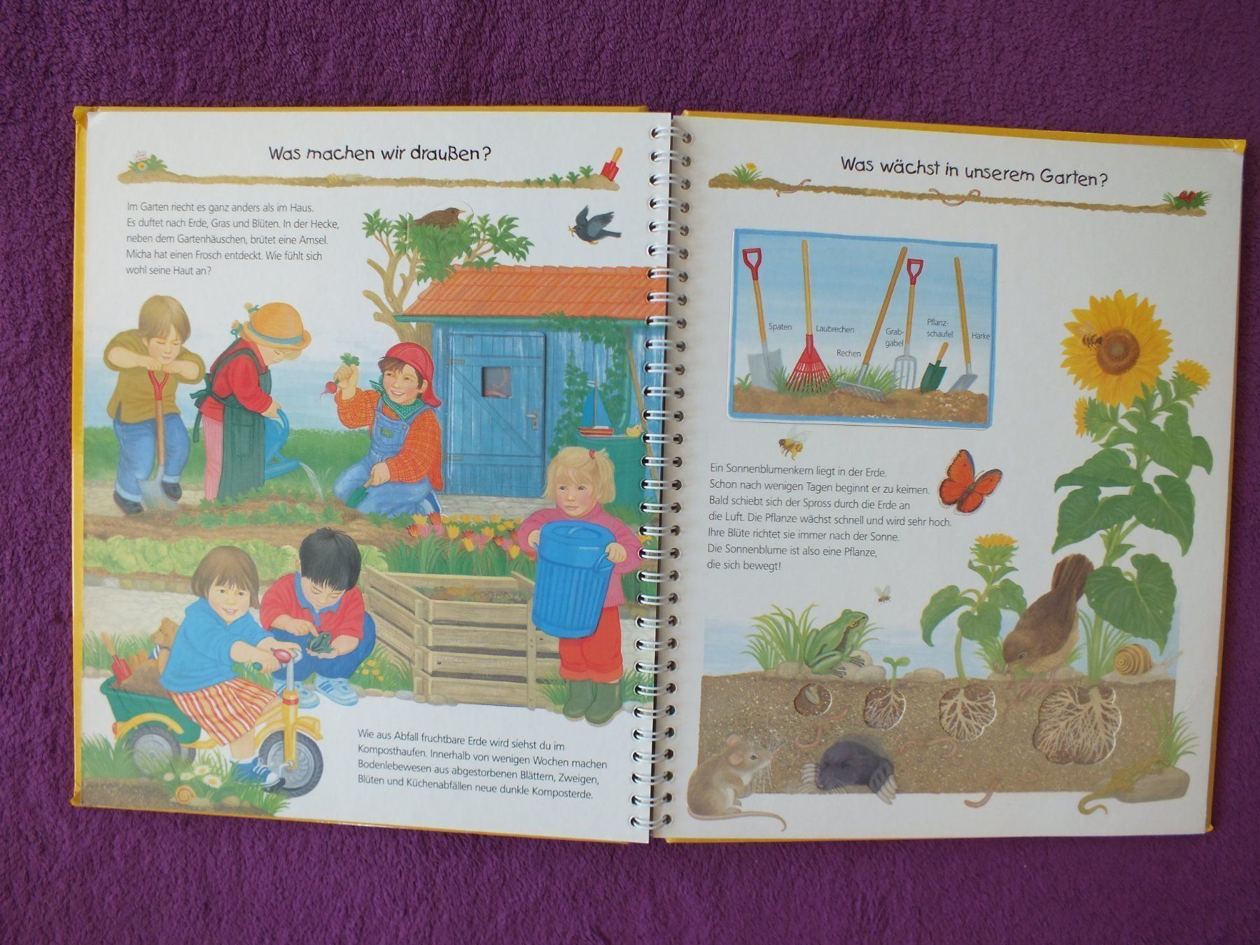 Bücher: Wieso Weshalb Warum - Unser Kindergarten – Gebraucht aus Müllheim Dorf von Seeeule01 5