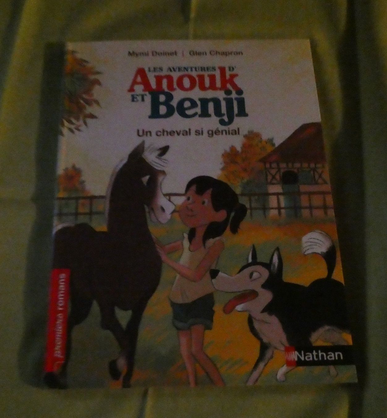 Livres: Les aventures d'Anouk et Benji neuf – Neuf avec emballage d'origine à Troistorrents par Marion70