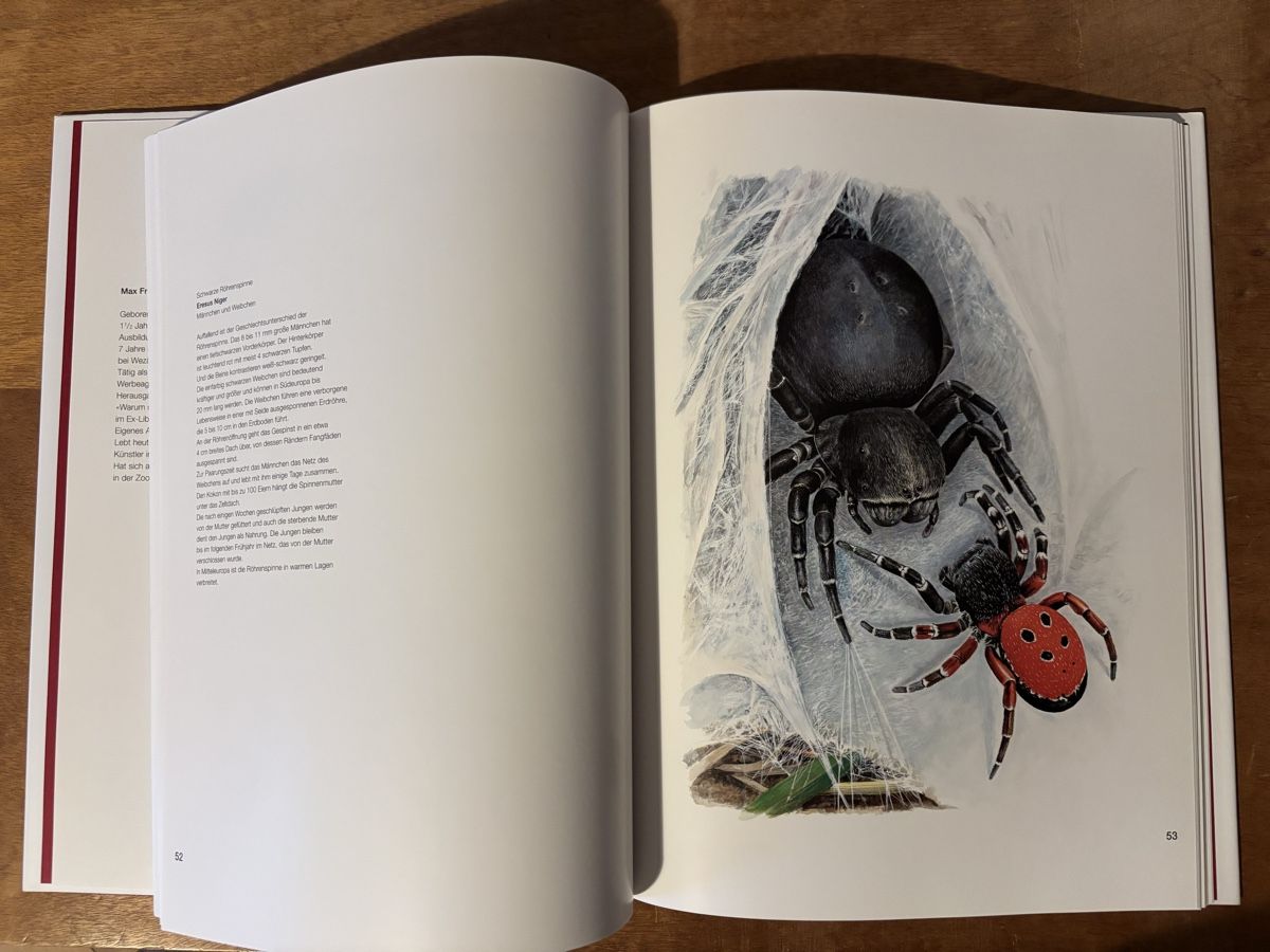 Libri: Max Frei: Begegnungen mit der Spinne – Usato da Zürich venduto da WWehrle 1