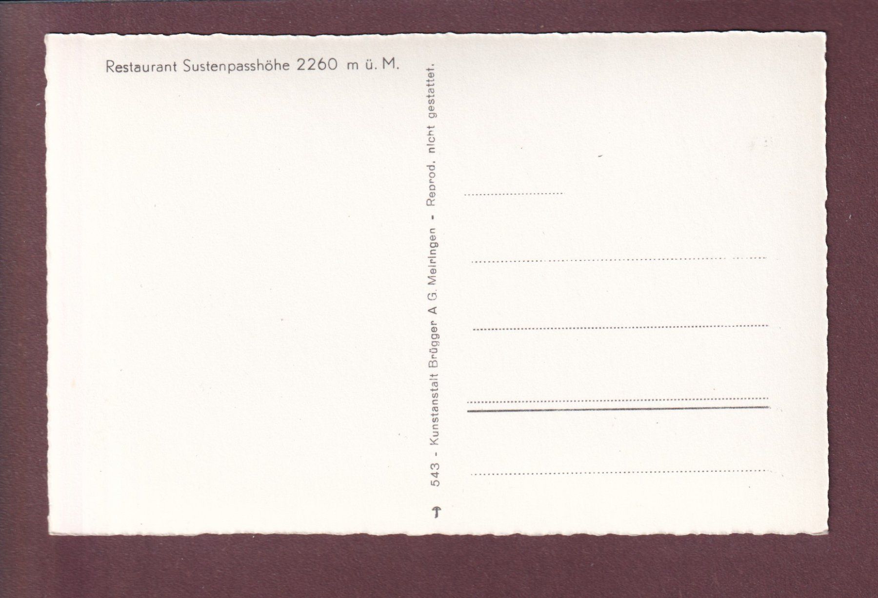 Cartoline postali: Restaurant SUSTENPASSHÖHE - Schafherde – Usato da Pully venduto da nicecards 1