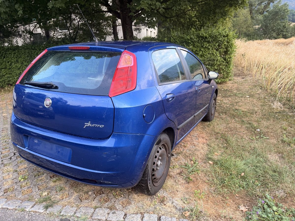 Fiat Autos: Fiat  Punto 1.4 8v – Gebraucht aus Roggwil BE von mun_hmx7 4