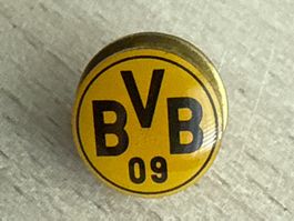 Pin BVB 09