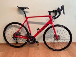 Canyon Endurace CF SL Grösse XL