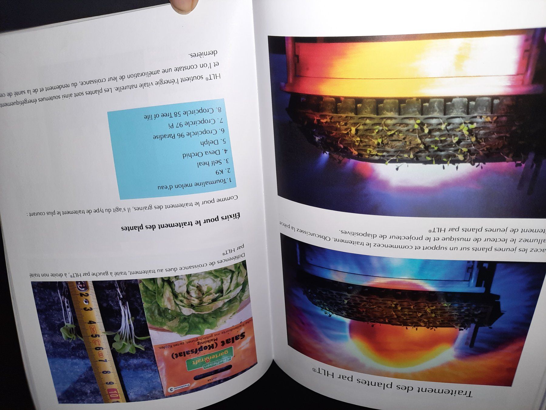 Bücher: Luminothérapie Holistique HLT – Gebraucht aus Biasca von Old_6blh 5