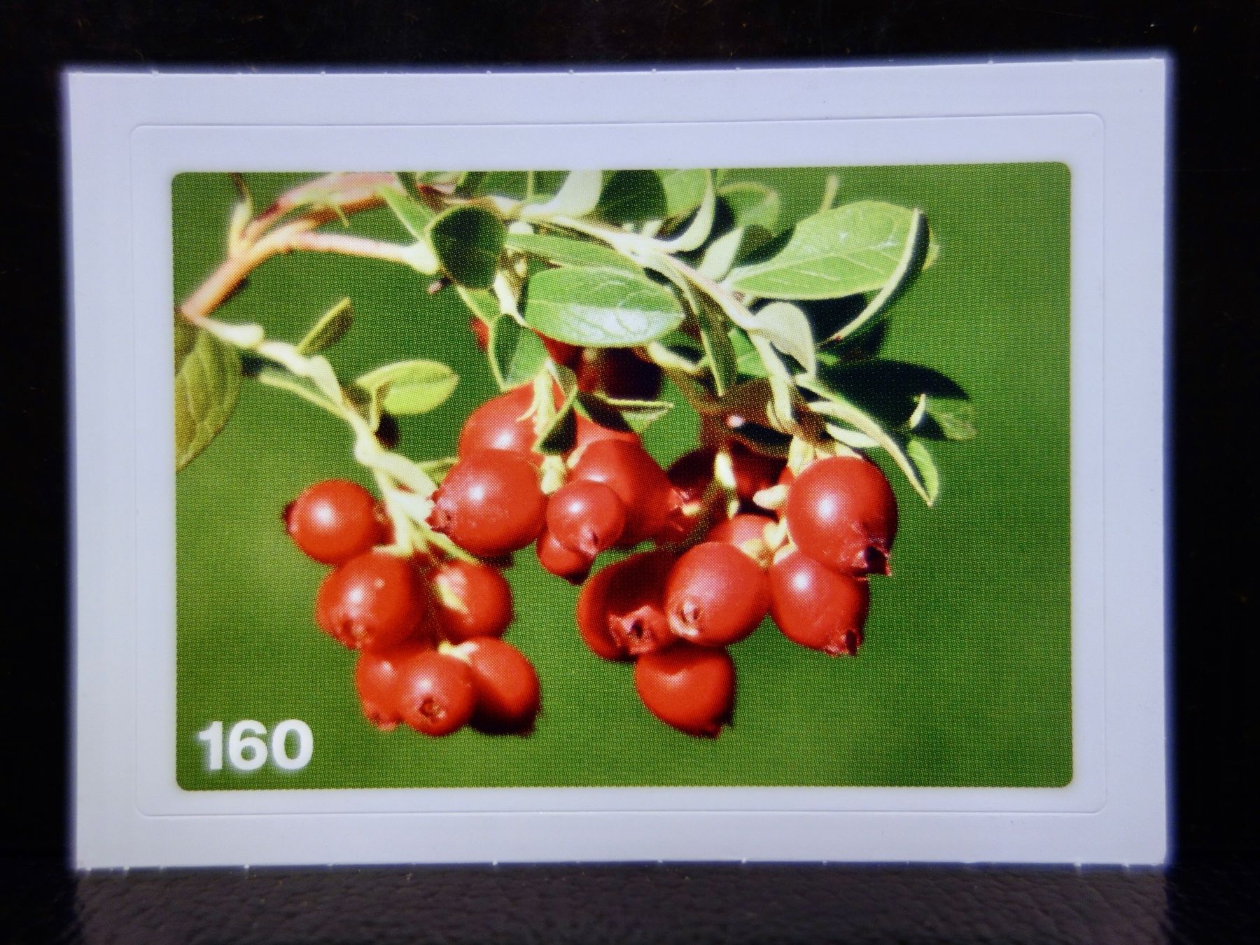 Migros Sammelbilder & Trading cards: MIGROS MANIA Nature Detectives Nr. 160 – Neu und originalverpackt aus Kerzers von djstarsky73