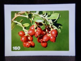 MIGROS MANIA Nature Detectives Nr. 160