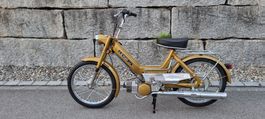 Puch Maxi N Candy Gold