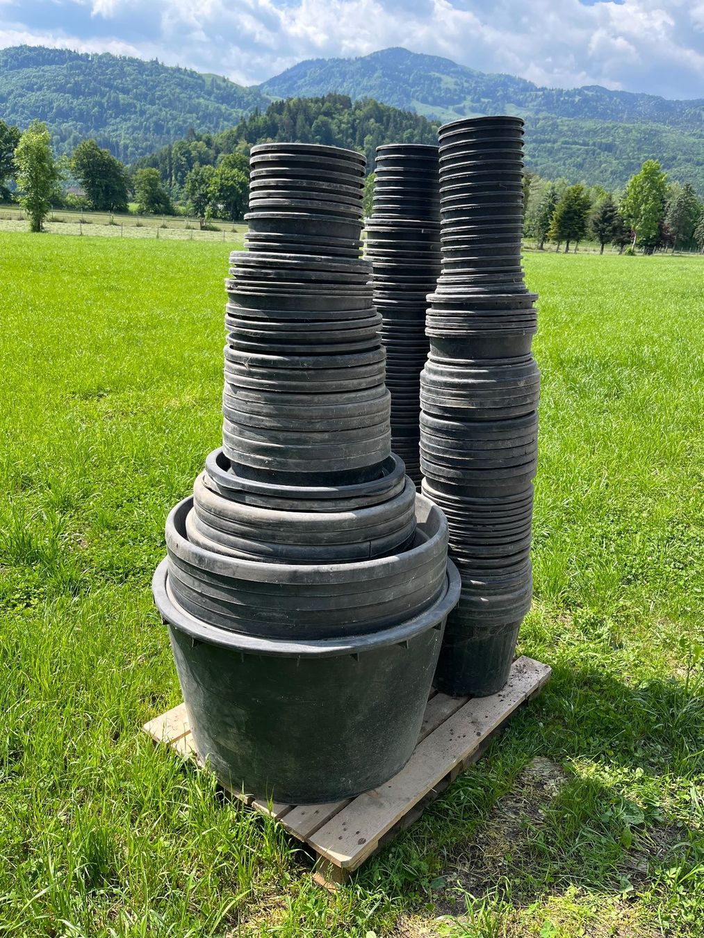 Vasi per fiori: Topfe Blumentröge Pflanztöpfe – Usato da Eichberg venduto da Elmar2014 1