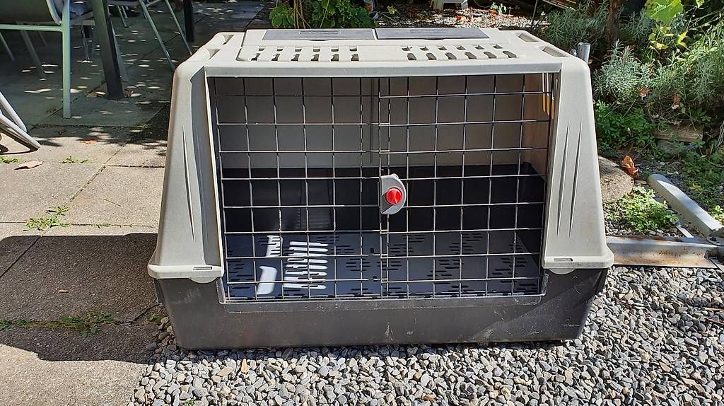 Gabbie, trasporto & Sicurezza: Hundebox Ferplast – Usato da Altstätten SG venduto da ann_l27q 4