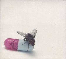 Red Hot Chili Peppers – I'm With You