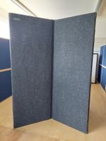 6x Clearsonic Absorber