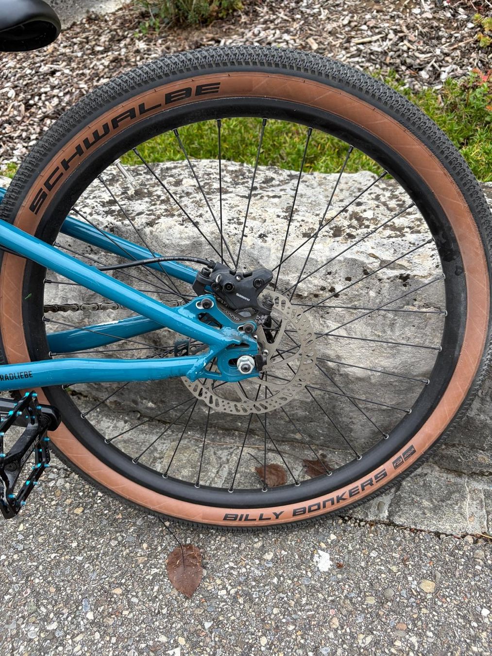 Biciclette: Pumptrackvelo – Usato da Kappel SO venduto da Ozone01 1