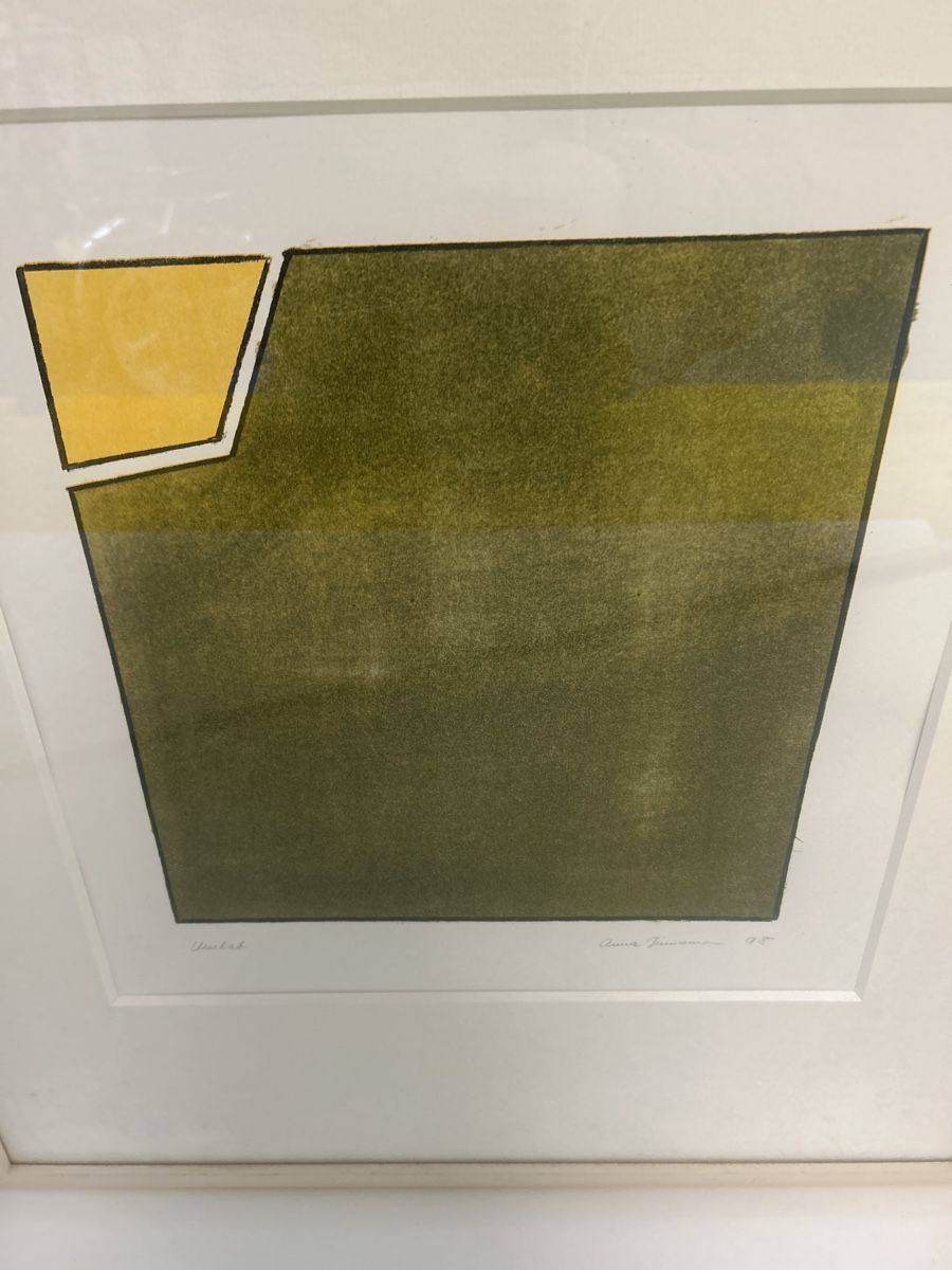 Grafica & Litografie: Lithographie 98 gerahmt – Usato da Glarus venduto da KunstWerkEr-LS87 3