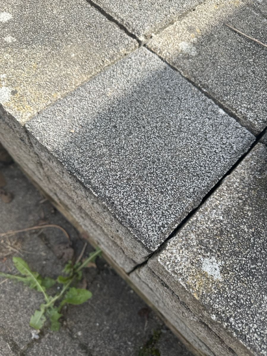 Rivestimenti per pavimenti: Gehwegplatten Gartenplatten – Usato da Sarmenstorf venduto da m.koeppel 2