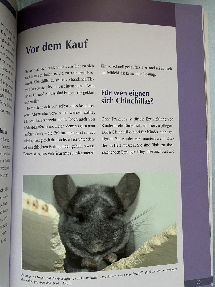 Libri: Chinchilla Buch – Usato da Seewen SZ venduto da shaky01 3