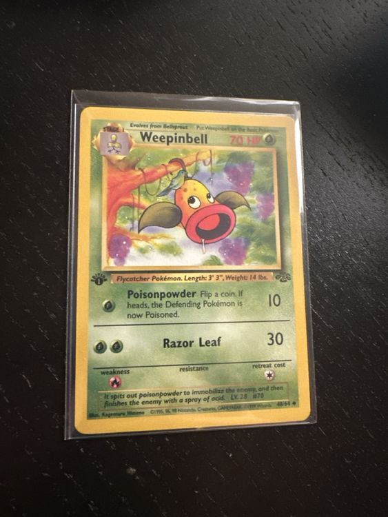Pokémon Carte collezionabili: 1 x carte Pokémon 1999 état mint – Nuovo (secondo la descrizione) da Chêne-Bougeries venduto da GLM24