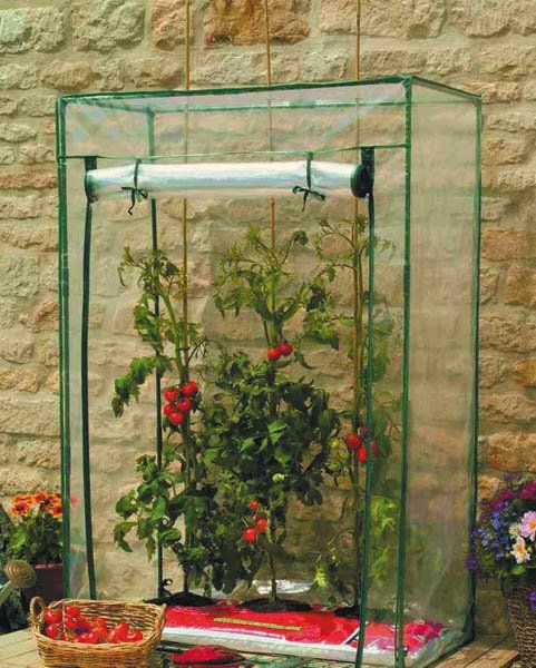 Westfalia Tomaten Gewächshaus Kaufen auf Ricardo