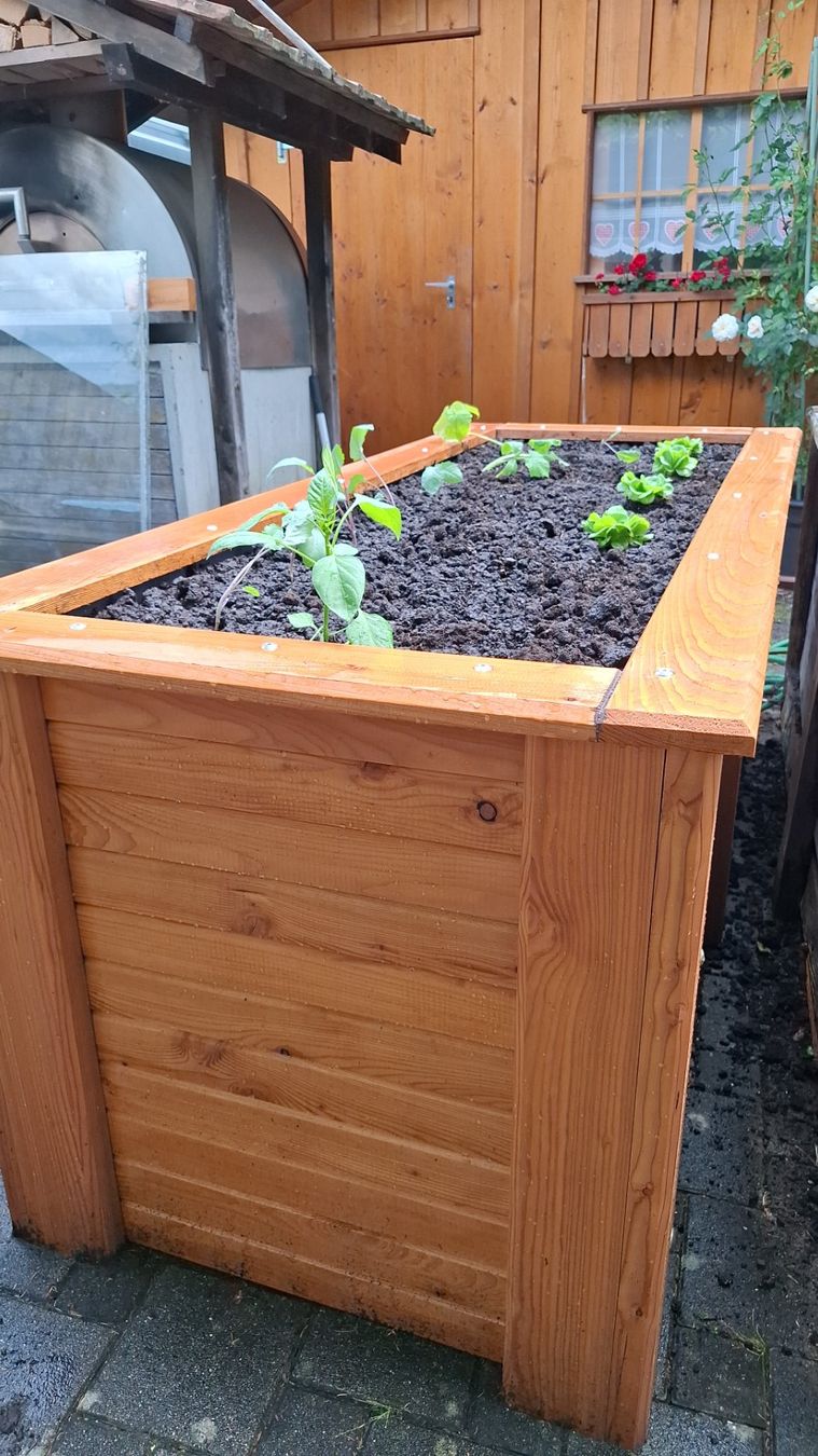 Vasi per fiori: Hochbeet – Nuovo (secondo la descrizione) da Bönigen venduto da hab61 4