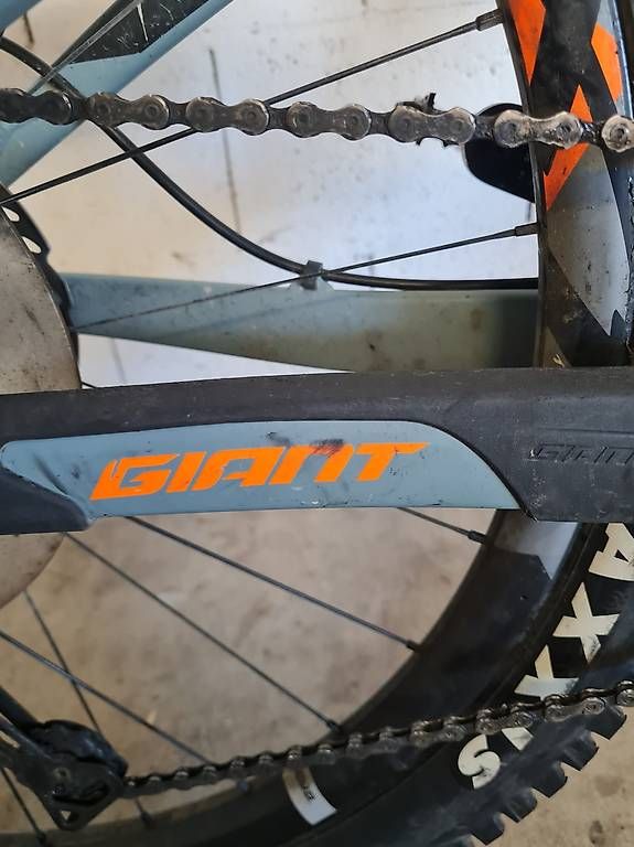Biciclette: GIANT Carbon Mountainbike  – Usato da Eschlikon TG venduto da jag_h2ln 3