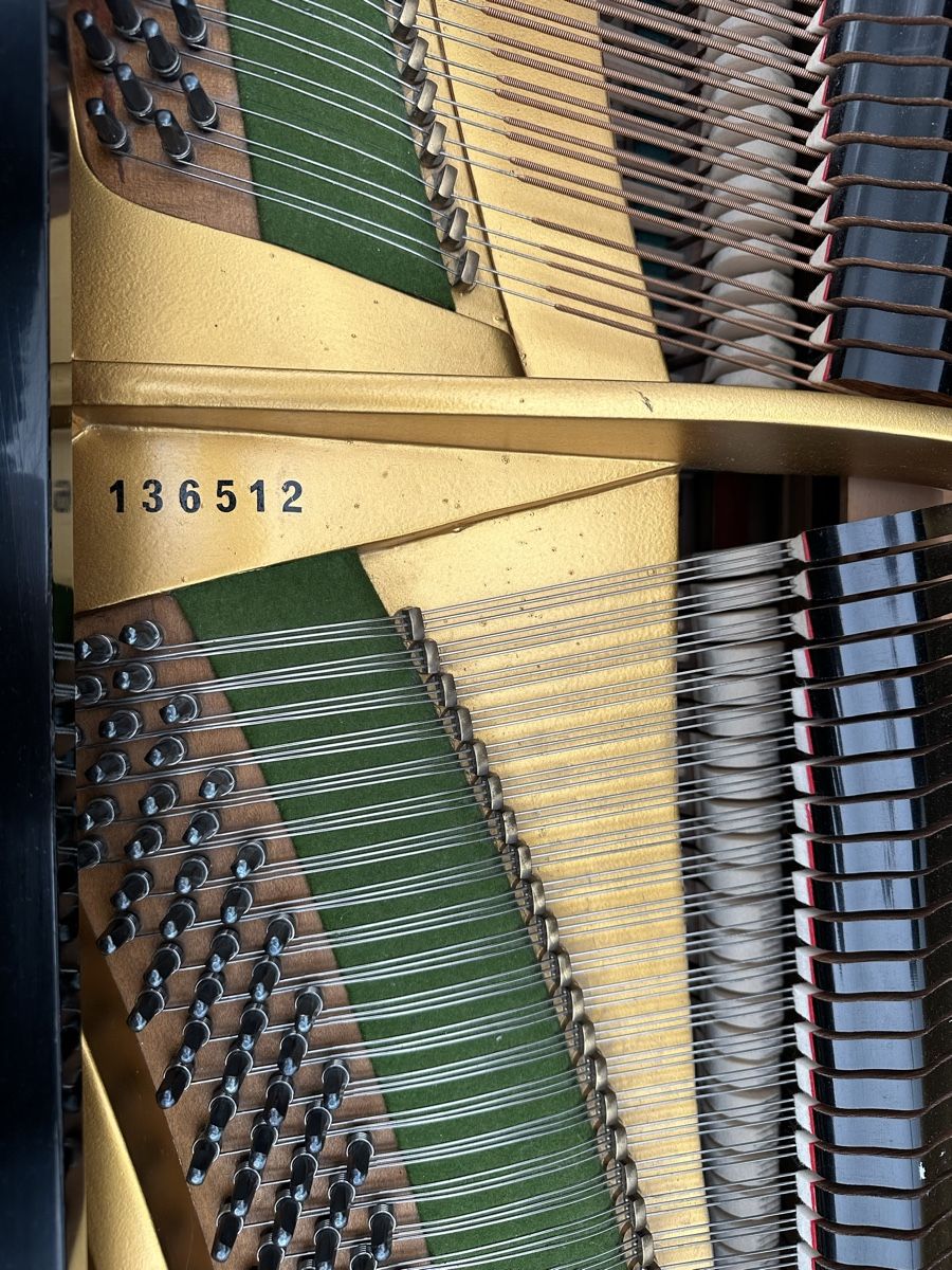 Strumenti musicali: C Bechstein Flügel 1,60m  – Usato da Kandergrund venduto da eva_92rg 4