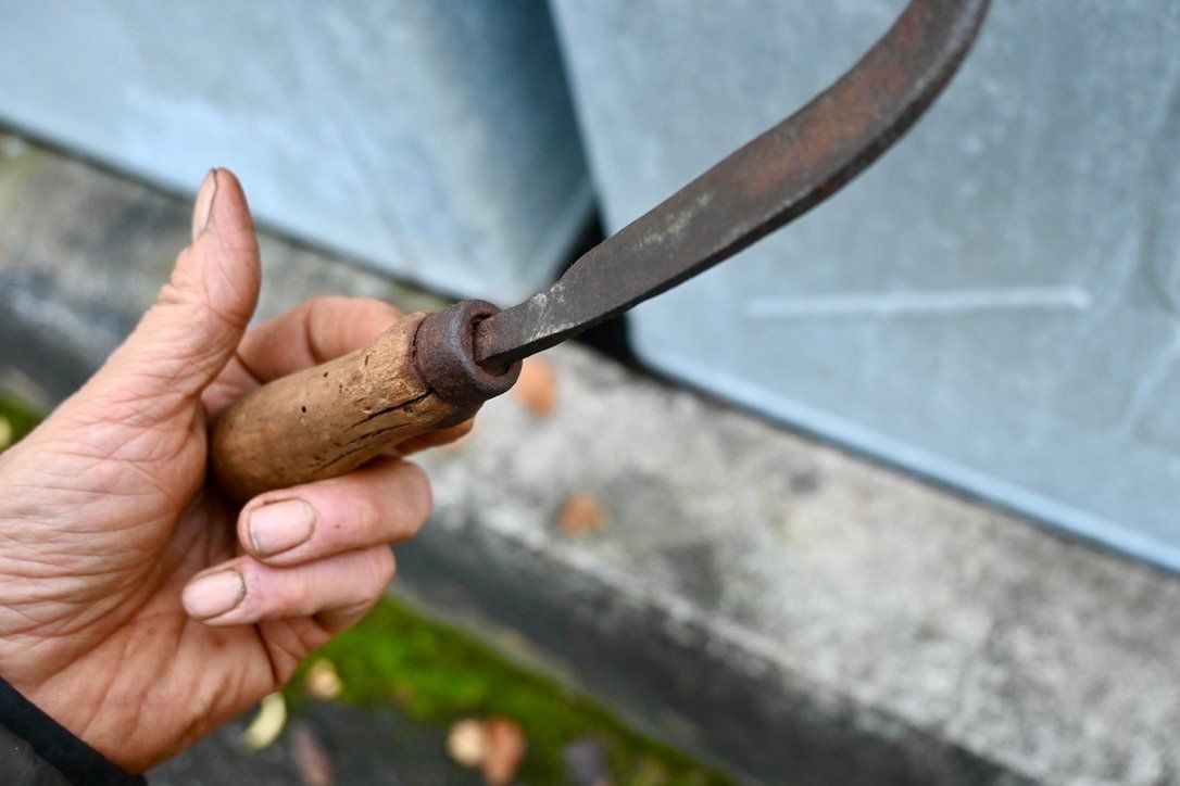 Tutti gli attrezzi: ANTIKE Handsichel Länge ca. 22cm – Usato da Pfaffhausen venduto da mono_rec 8
