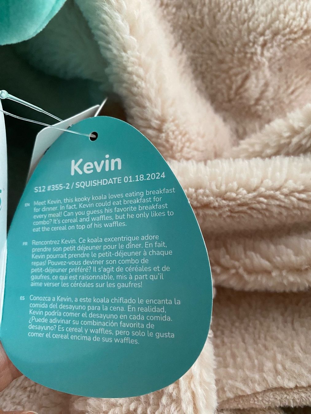 Squishmallows Giocattoli: Squishmallow KEVIN der Koala / NEU – Nuovo (secondo la descrizione) da Nussbaumen AG venduto da schuba2000 2