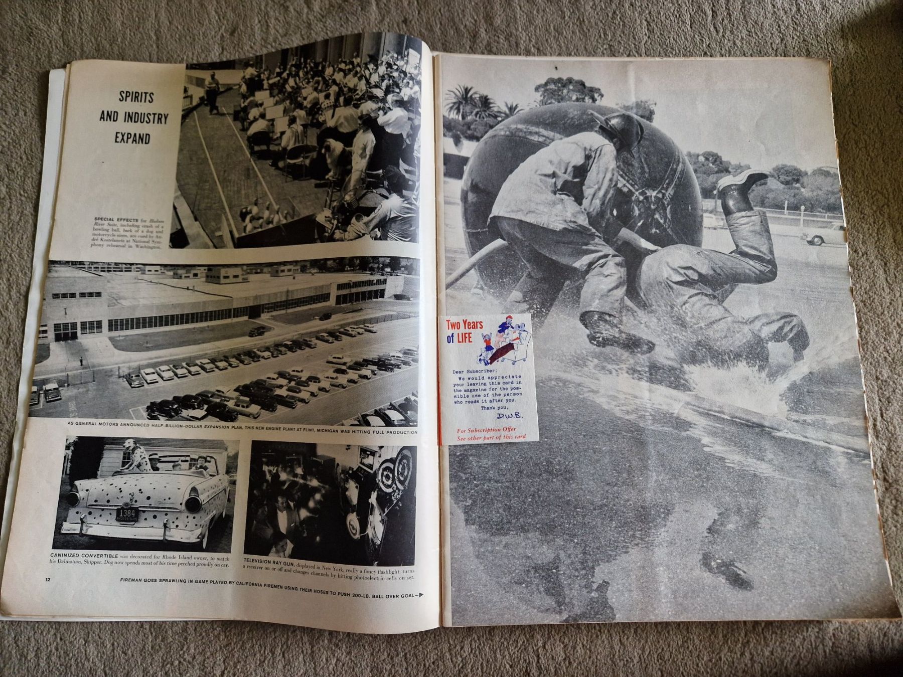 Riviste & Magazine: Life Magazin 1955 – Usato da Mörschwil venduto da lindaswunderkiste 4