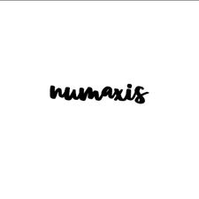 Profile image of numaxis