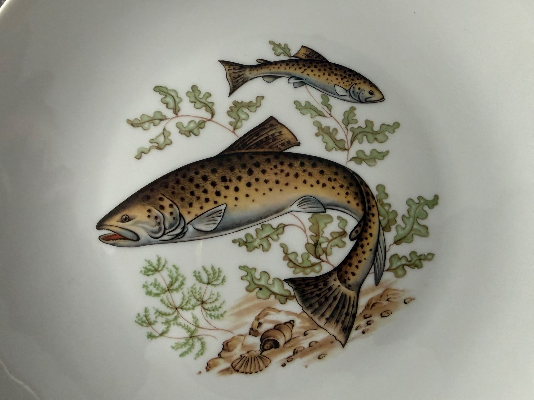 Winterling Geschirrsets: Servizio piatti pesce, 7 pezzi – Gebraucht aus Monte Carasso von Ely67 6