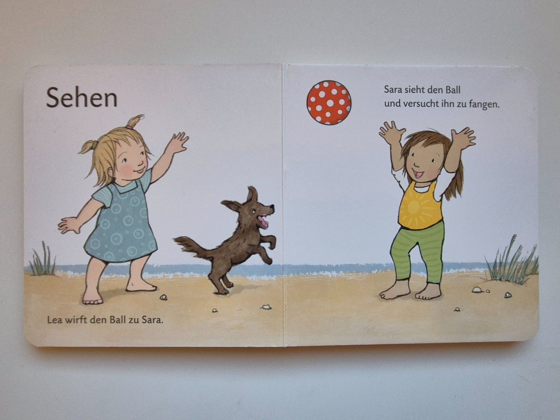 Bücher: DUDEN 12+  -  Alle meine Sinne – Gebraucht aus Niederweningen von Obson 1