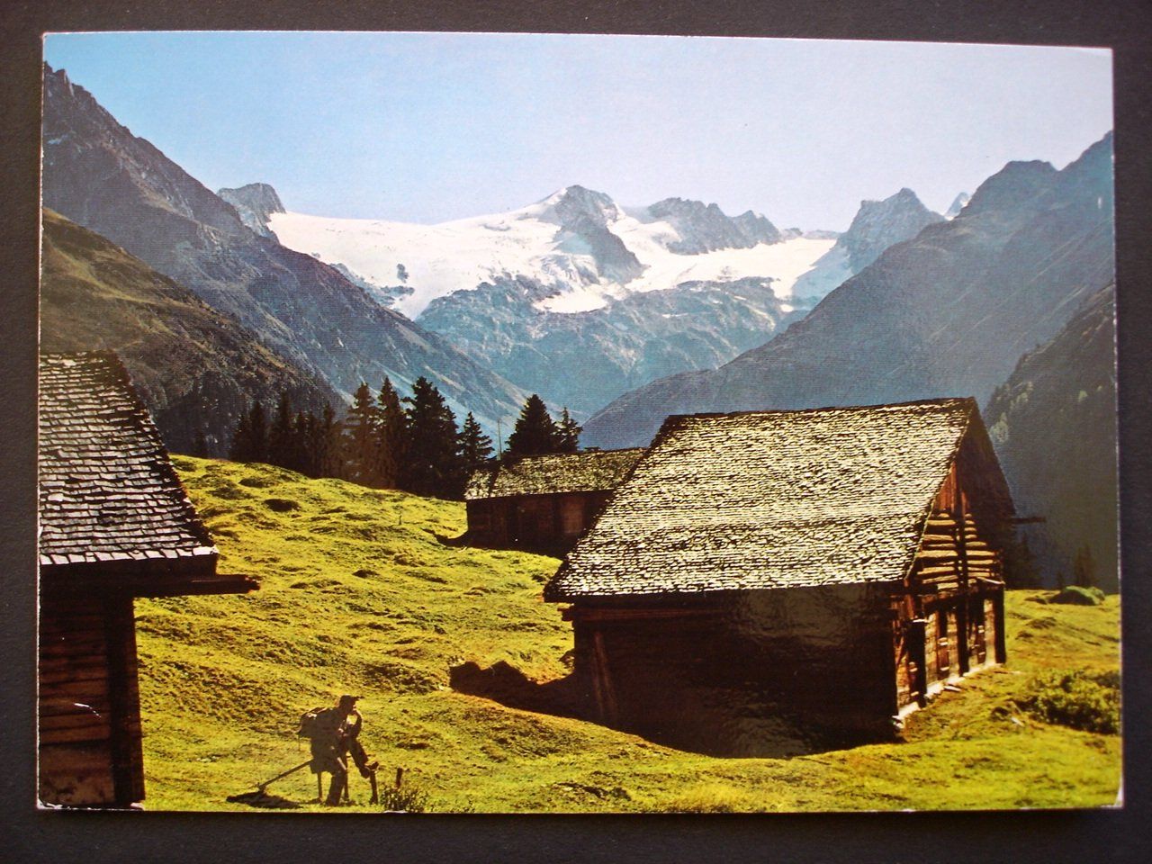 Ansichtskarten: DISENTIS Alp Soliva mit Piz Medel – Gebraucht aus Jona von philajona