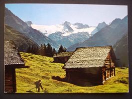 DISENTIS Alp Soliva mit Piz Medel