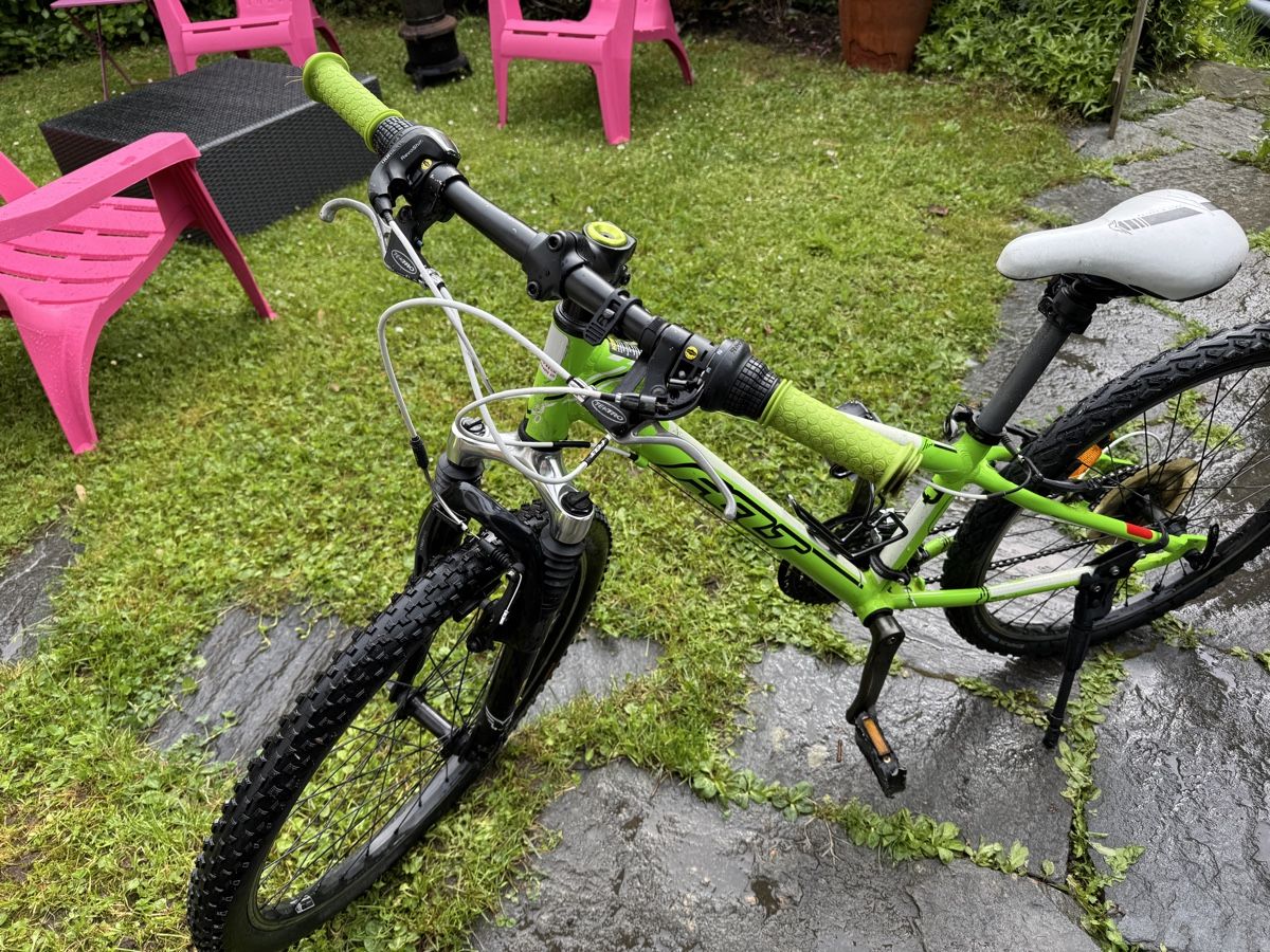 Biciclette: Boy bike 8-12 year old – Usato da Zürich venduto da Turkeykitty 2