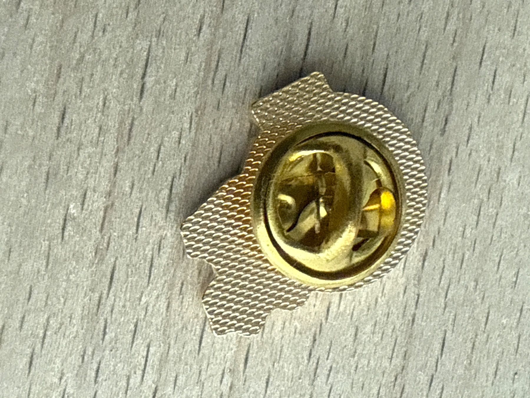 Placchette & Badge: Pin TCS – Usato da Glattbrugg venduto da Schweigmatt 1