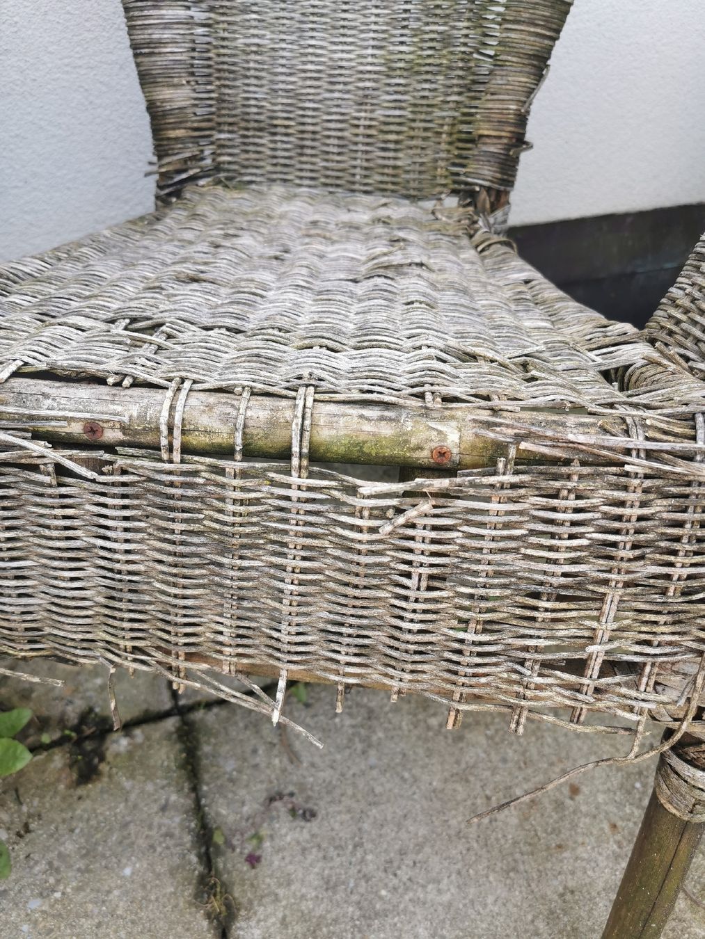 Sedie: Rattanstuhl – Usato da Brunnen venduto da JJaime 1