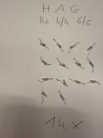 HAG Set d'ampoules Re 4/4 Re 6/6  Génération II