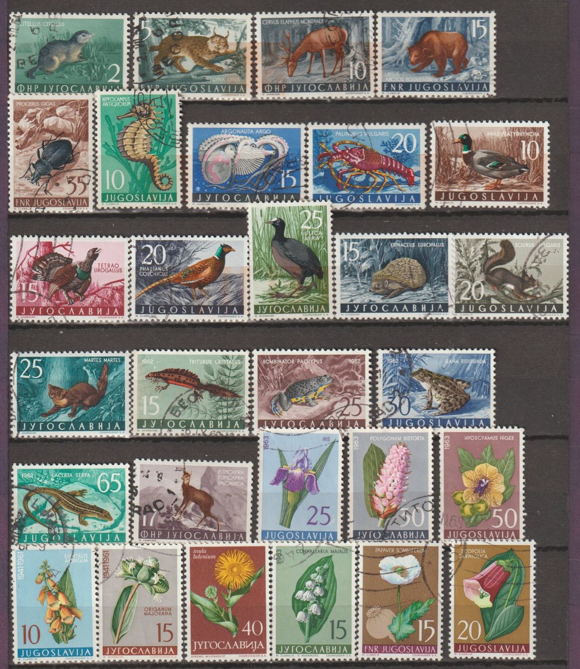 Tutti i francobolli: Yougoslavie collection faune et flore – Usato da Crans-Montana venduto da kira56