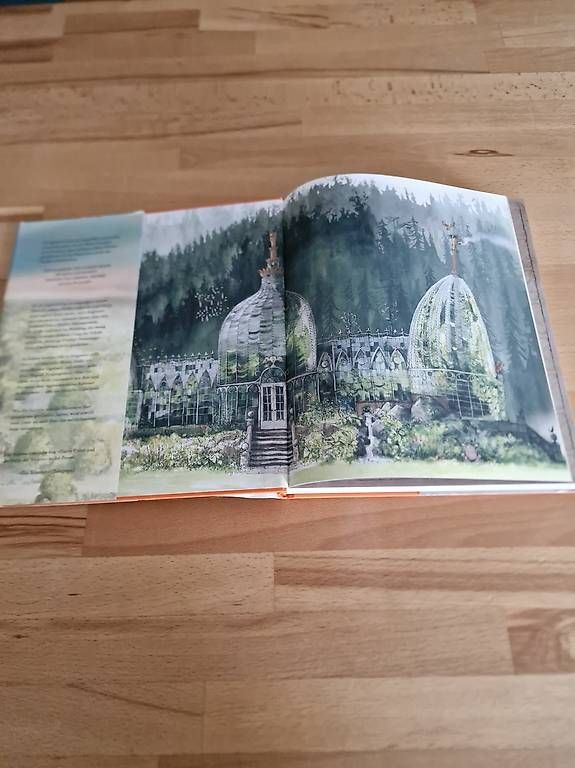 Libri: Harry Potter Sonderedition  – Usato da St. Gallen venduto da ste_fq9h 1