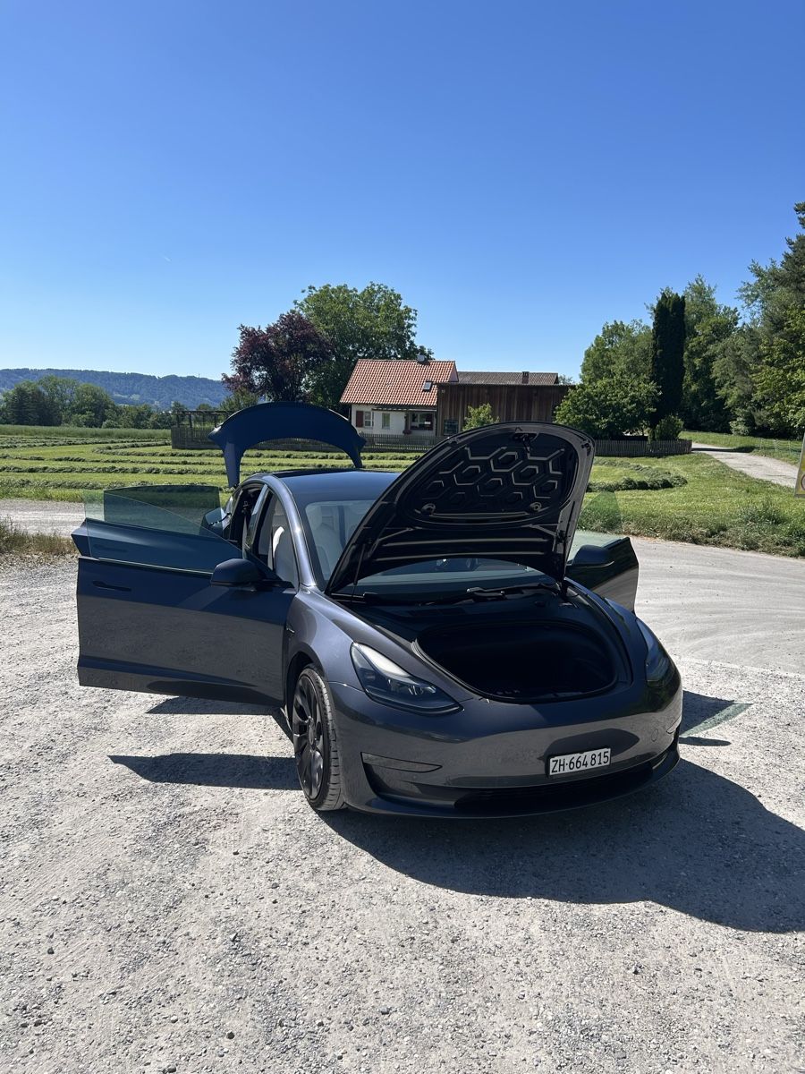 Tesla Automobili: Tesla Model 3 Performance Dual Motor AWD Jg. 2020 Long Range – Usato da Küsnacht ZH venduto da Marcel4917