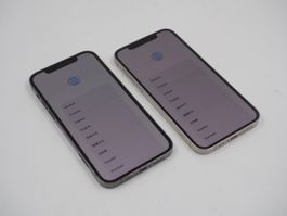 2x APPLE iPhone 12 Pro iCloud gesperrt (26100106)