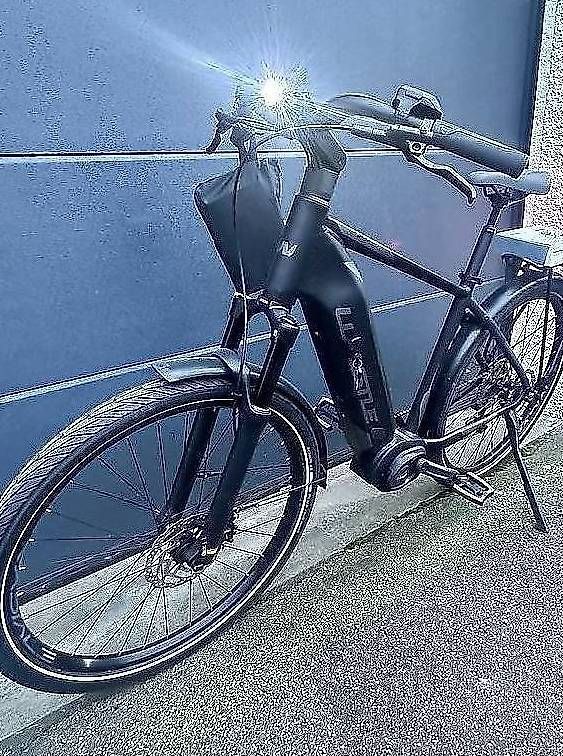 Biciclette: Whistle E Bike Bosch Speed 45 km/h – Usato da Staufen venduto da fbe_v8pv