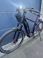Whistle E Bike Bosch Speed 45 km/h