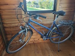 Velo Damen Villiger