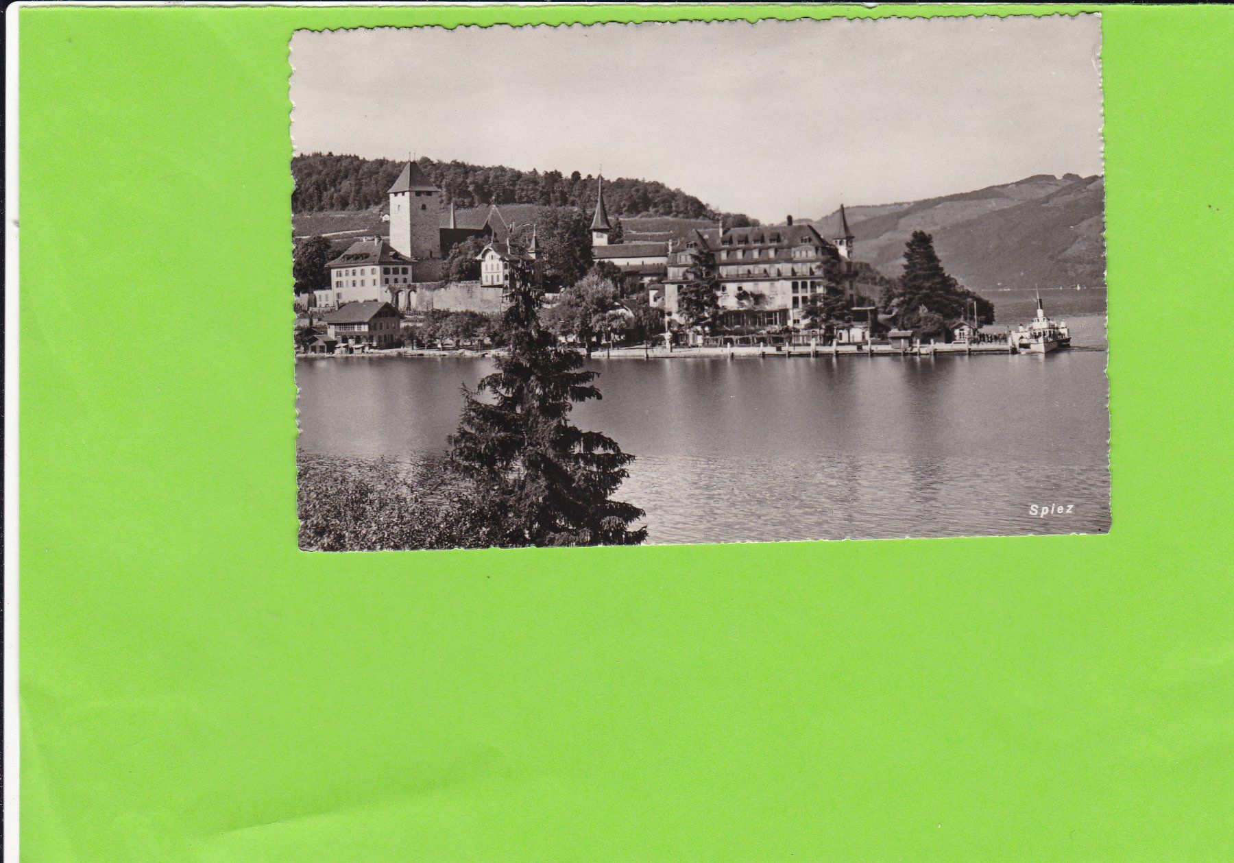 Cartes postales: Spiez – D'occasion à St. Peterzell par neckertal