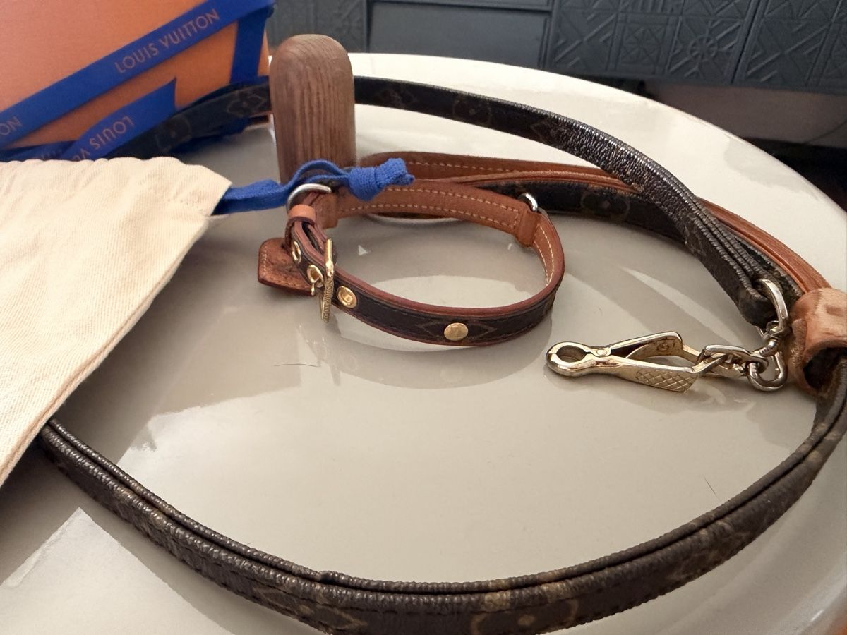 Guinzagli & Collari: Original Louis Vuitton Hundehalsband & Leine Monogram – Usato da Buchs ZH venduto da tiz_9mpn 2