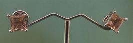 Ohrstecker 925 Silber