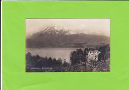 Hertenstein-Schlosshotel