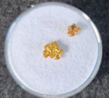 Goldnugget aus Canada